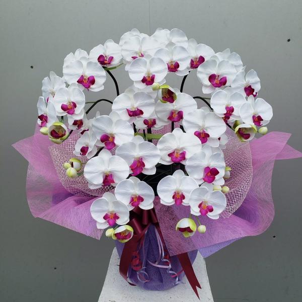 胡蝶蘭M・白紫５F（造花）高約７０cm×幅４０cm （光触媒コーティング