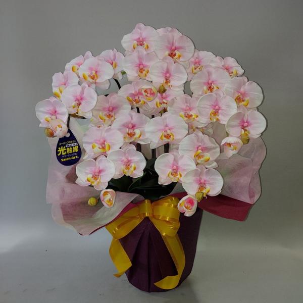 胡蝶蘭M５F白（高７０cm×幅４０cm）（光触媒） - 造花、アートフラワー