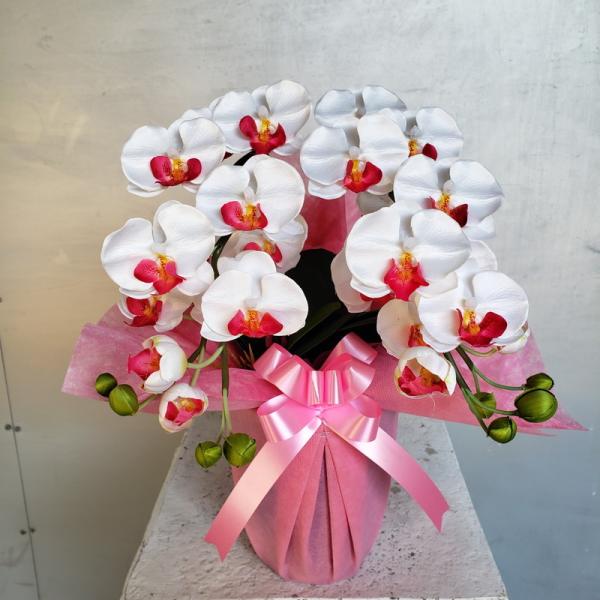 造花光触媒　胡蝶蘭　赤紫色 胡蝶蘭 DXロング 赤紫 5F ギフト 高80cm×巾50cm オリジナル