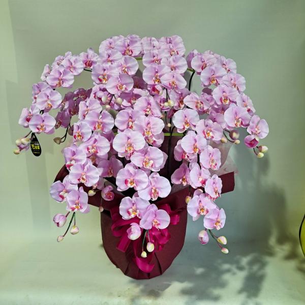 造花胡蝶蘭L サイズ5本立 ライトパープルロング 光触媒コーティング