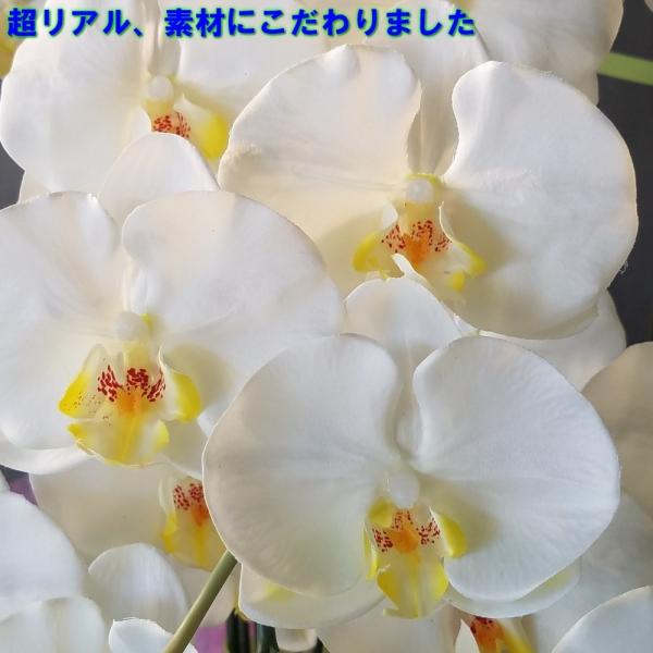 胡蝶蘭ロング白５本立 高さ９５ｃｍ 造花 光触媒 開店祝 誕生日 新築祝 Buyee 日本代购平台 产品购物网站大全 Buyee一站式代购bot Online