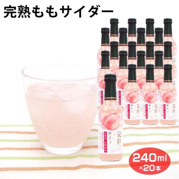 WEB限定デザイン 中国安化黒茶王―千両茶のミニ版 十両茶 2010年製造 OSK セロアルミ 黒烏龍茶 100P