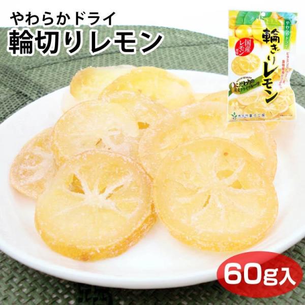 炩hC֐؂背 60 hCt[c Y Y100@F@MBَqH[ 쌧 MB ݂₰ yY MB萁