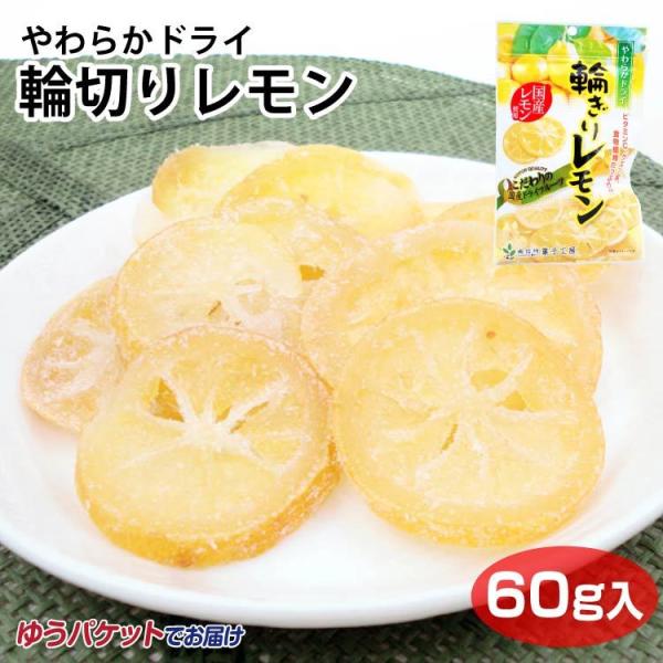 [ 炩hC֐؂背 60 hCt[c Y Y100@F@MBَqH[ 쌧 MB ݂₰ yY MB