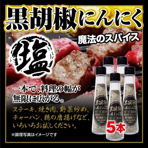 Ӟɂɂ 110g×5{  Ӟ ubNybp[ ɂɂ jjN K[bN  XpCX BBQ ē