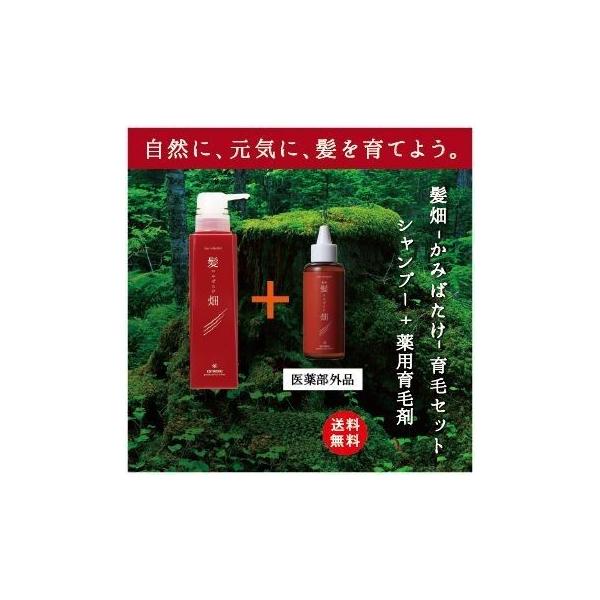 髪畑セット　シャンプー＆エッセンス