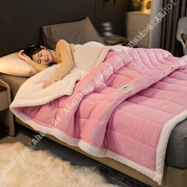 毛布 ダブル ブランケット 厚手 冬用 フランネル 二枚合わせ 静電気