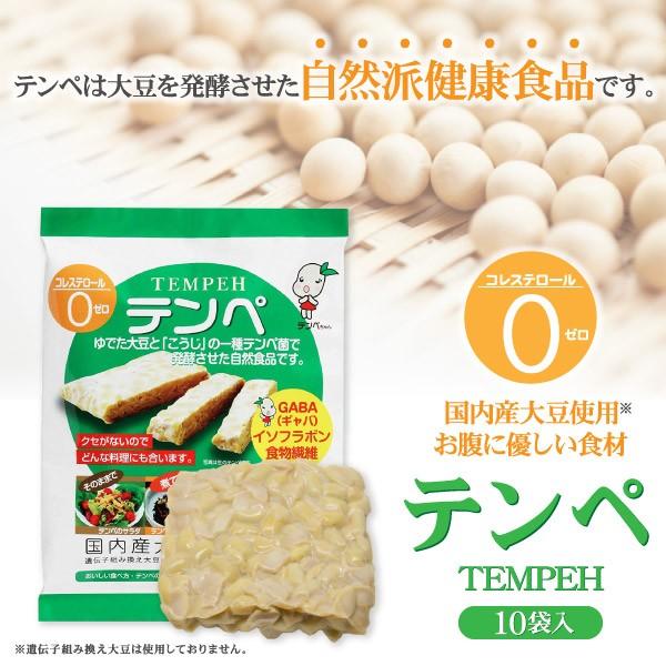 マルシン食品 テンペ 100g 10袋 のし包装メッセージカード対応不可品 おしゃれ 内祝い 出産内祝い お返し ギフト 結婚内祝い 贈答品 ホワイトデー Buyee 日本代购平台 产品购物网站大全 Buyee一站式代购 Bot Online