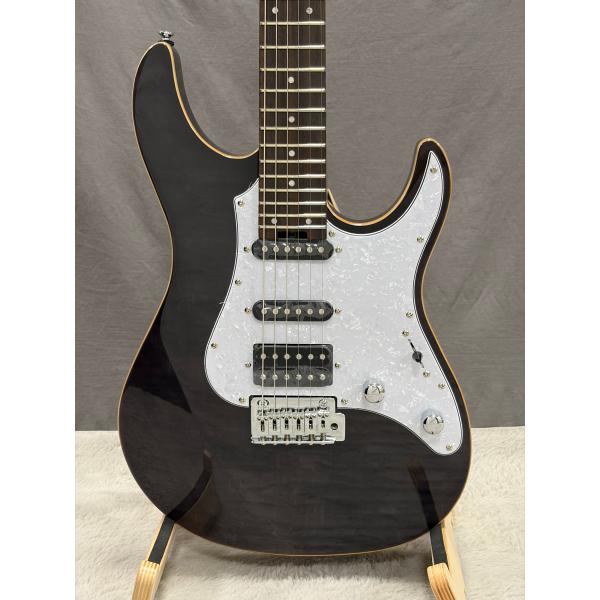 Grassroots by ESP G-SNAPPER-CTM / STBK See Thru Black グラスルーツ スナッパー