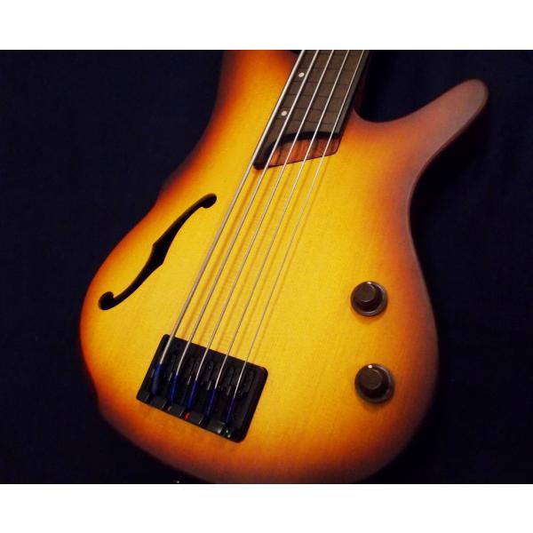 Amazon.com: Ibanez SRH505F Fretless - Natural Browned Burst