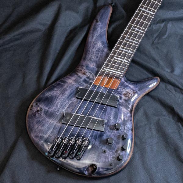 Ibanez（アイバニーズ） 【1本限り特価！】Ibanez SRMS805 DTW(Deep