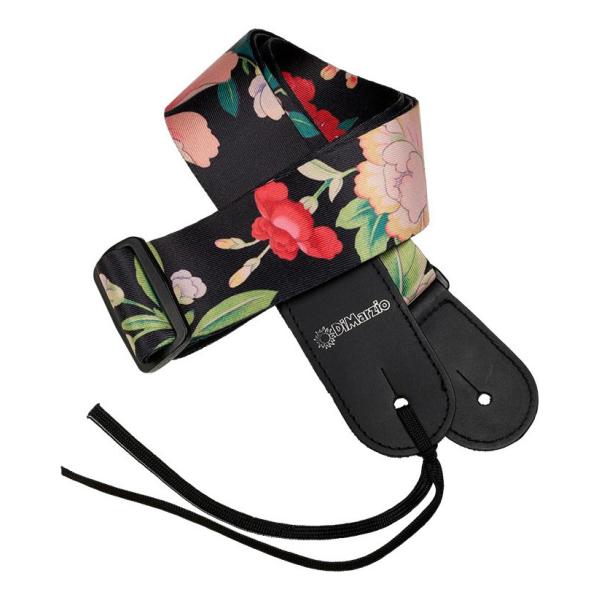 aikyokugakki_dimarzio-dd3154