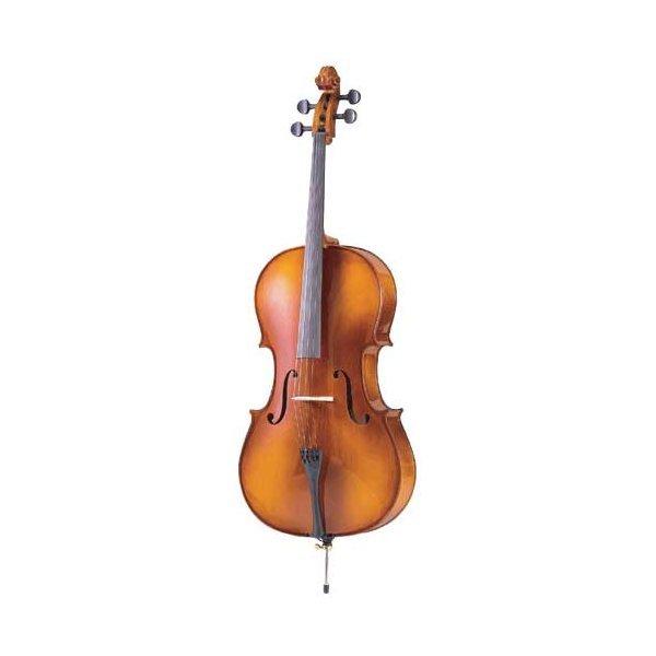 Carlo giordano SC-100 カルロジョルダーノ チェロ : 愛曲楽器