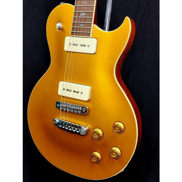 APII PE-5450CR GD (Gold) ARIA CUSTOM SHOP アリア 日本製 : 愛曲楽器