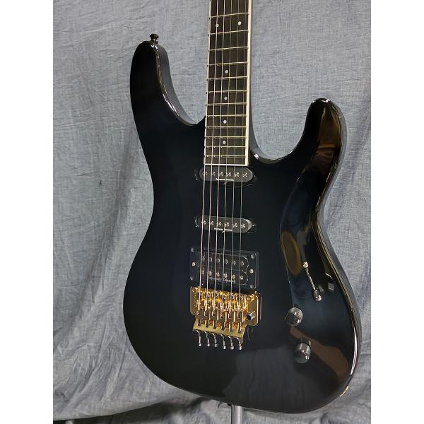Aria Proll 【アウトレット特価】AriaProII RS-CUSTOM BK(Black