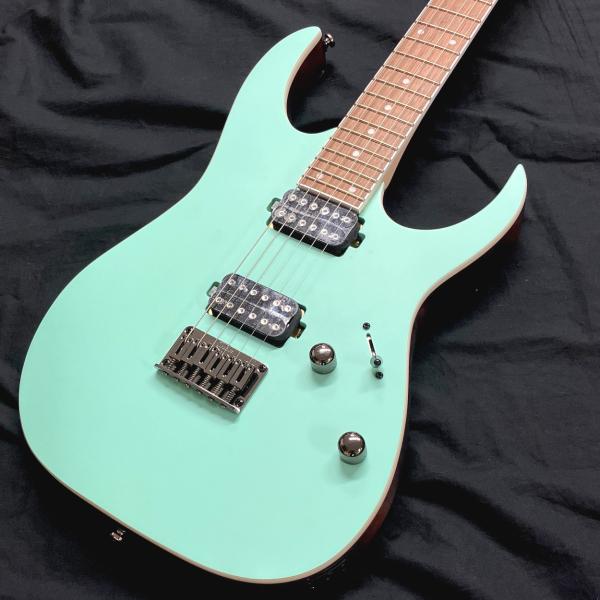 aikyokuhonten_ibanez-rg421s-sem