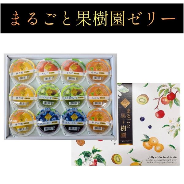 まるごと果樹園ゼリー ギフトセット 5種セット 12個入り お歳暮 お礼