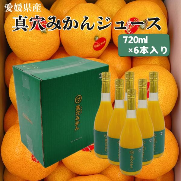愛媛県産みかんジュース5種詰め合わせ 720ml 12本セット