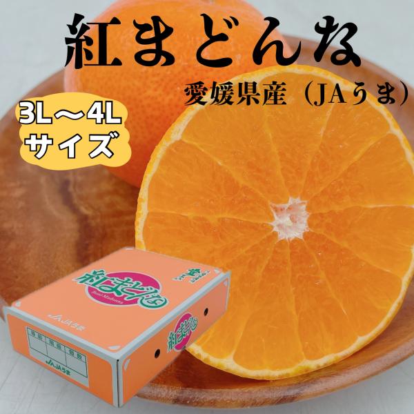 紅まどんな 愛媛県産(JAうま) 化粧箱 秀品 3L~4Lサイズ : 愛ランド