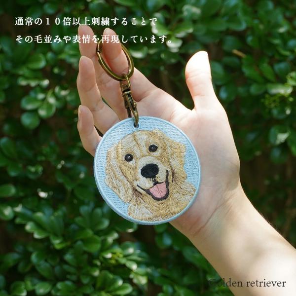 aile2016_dog-9_4_d_20231017171340