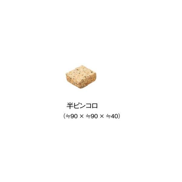 aim-garden_toyo-pin-koro-40