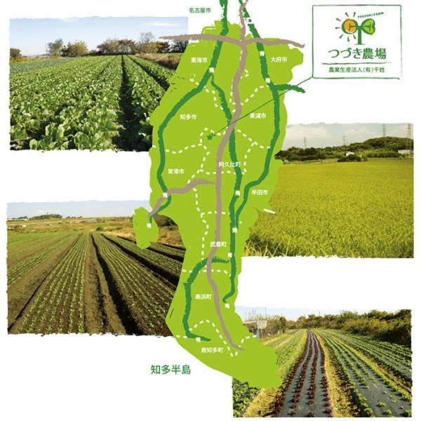 愛知県 送料無料 米粉うどん 米粉パスタ 6食セット 米粉 麺 小麦卵アレルギー アトピー 食塩不使用 グルテンフリー コシヒカリ Buyee Buyee 日本の通販商品 オークションの代理入札 代理購入