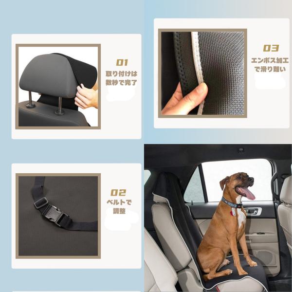 aimcorp_npcover001_1_d_20250602133451