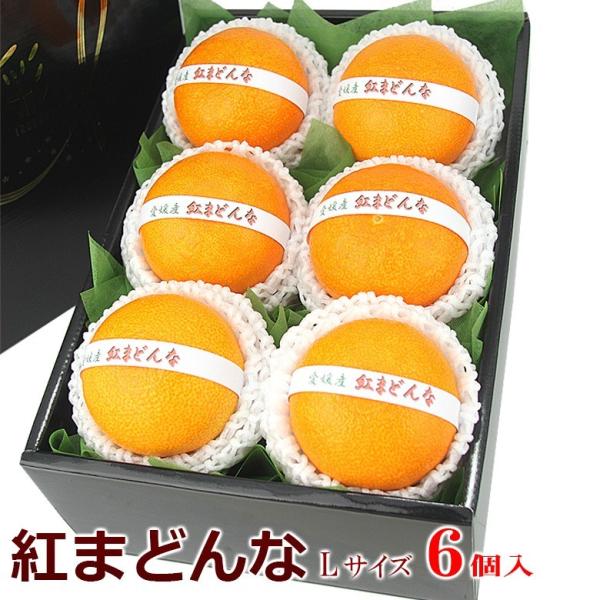 g܂ǂ (LTCY 6) t[c Mtg Ε N ~Mtg  j  @ @v ݂ k t[c  Zbg ʕ