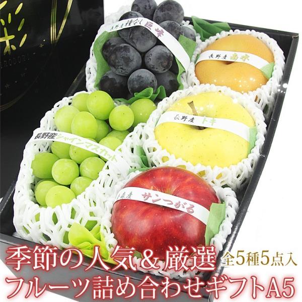 t[c Mtg  ʕ lߍ킹yG߂̐lCIt[clߍ킹 Mtg A5(Ԃǂ2E2E܂͗m1)z ь  ʕ