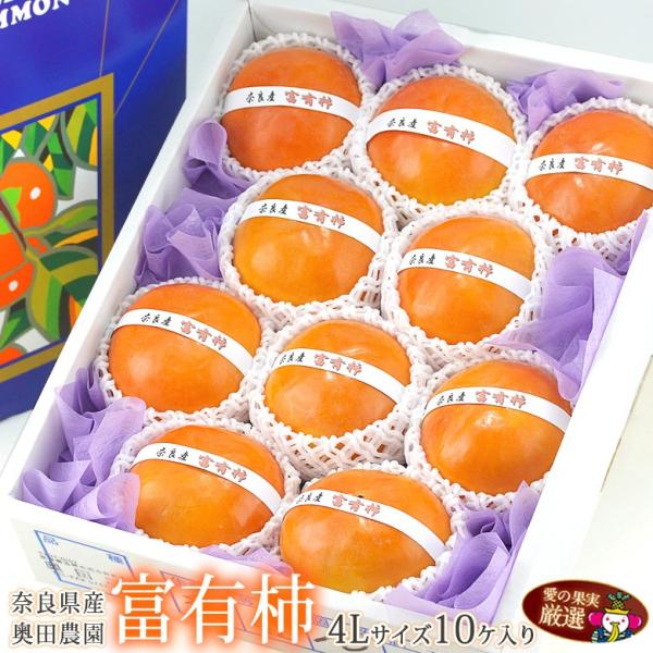 t[c Mtg xL` `   ʕ  j a j  oYj Ԃ  yxL` (3kȏ 10)z