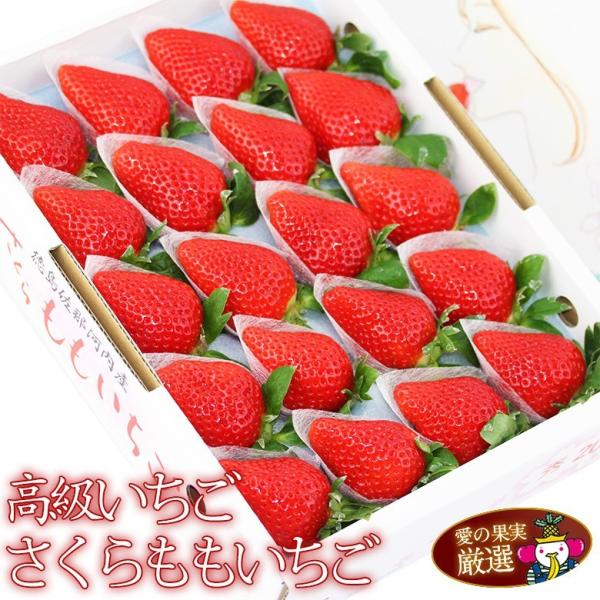 【フルーツ 果物 プレゼント お礼 お返し ご挨拶 手土産 お祝 誕生日 お誕生日 婚礼祝い 出産祝 出産内祝 出産 内祝い お返し 快気祝い 快気内祝い お見舞い 快気祝 粗品 コンペ 景品 お供え 贈り物 お供え物 お悔やみ ギフト】さ...