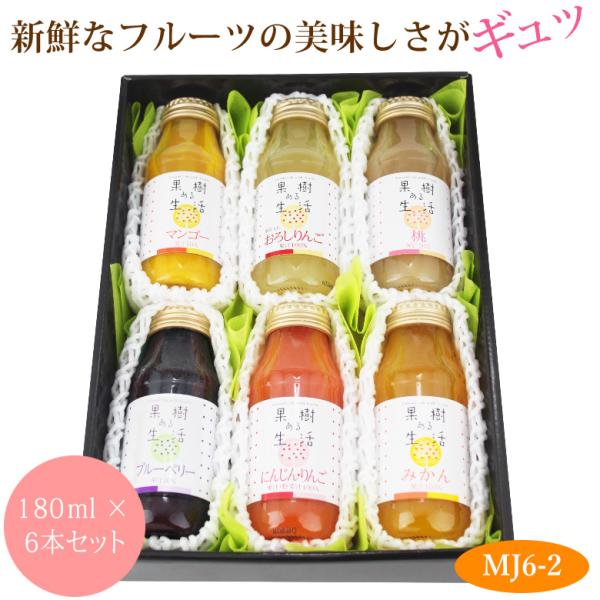 フルーツ ギフト 敬老の日 お彼岸 お供え くだもの 果物 内祝 お見舞い お礼 お祝い 法要 贈り物 健康【厳選 ジュース ドリンク 6本セット(MJ6-2)】