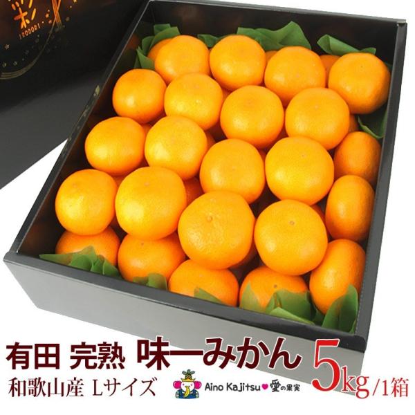 ݂  t[c Mtg Ε N Lc nu ݂v(a̎RY)kTCY 5kg ~J  k ʕ 