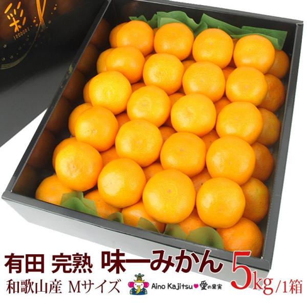 ݂  t[c Mtg Ε N Lc nu ݂v(a̎RY)lTCY 5kg ~J  k ʕ 