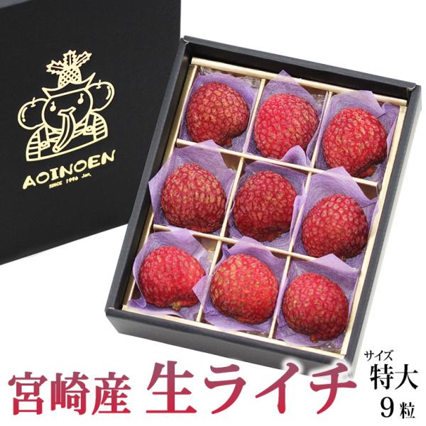 フルーツ ギフト お中元 ライチ 暑中見舞い 果物 内祝 お祝い