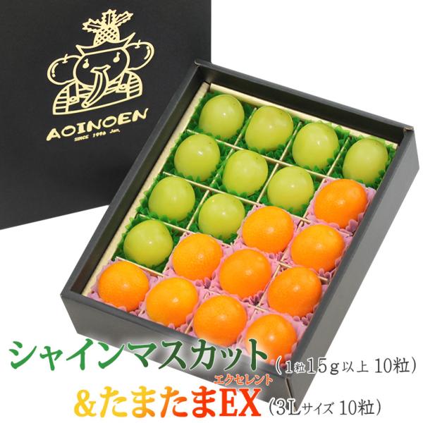 【フルーツ 果物 プレゼント お礼 お返し ご挨拶 手土産 お祝 誕生日 お誕生日 婚礼祝い 出産祝 出産内祝 出産 内祝い お返し 快気祝い 快気内祝い お見舞い 快気祝 粗品 コンペ 景品 お供え 贈り物 お供え物 お悔やみ ギフト】甘...