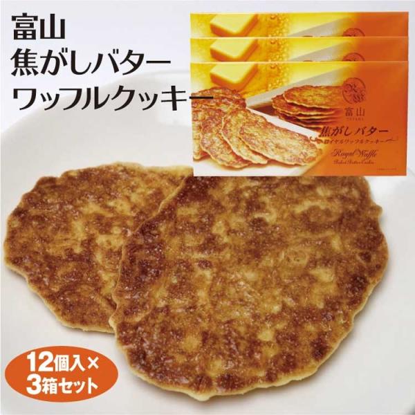 xR yY xRło^[CbtNbL[ 12×3 xR݂₰ ݂₰ mَq ΂ TNTN َq XC[c ̕