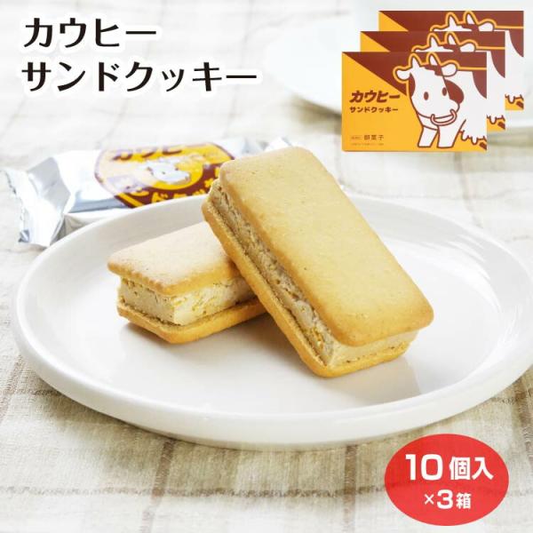 カウヒーサンドクッキー10個入×3箱 : あいの風 Yahoo!店 - 通販