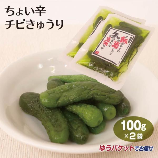 傢h`rイ100g×2܁y䂤pPbgz