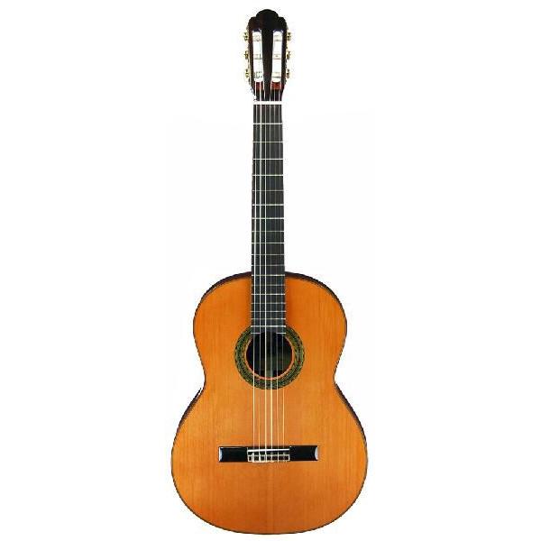 Aria A-100C-63(ハードケース付) : さくら山楽器 - 通販 - Yahoo 