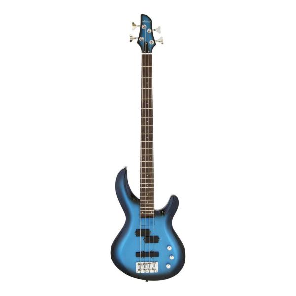 Aria ProII IGB-STD MBS(Metallic Blue Shade) x[X/P[Xt