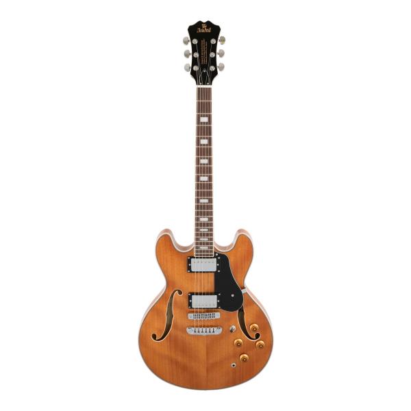 Aria Proll ProII TA-200 MH(Mahogany) セミアコースティック Aria Proll ProII TA-200 MH(Mahogany) セミアコースティック