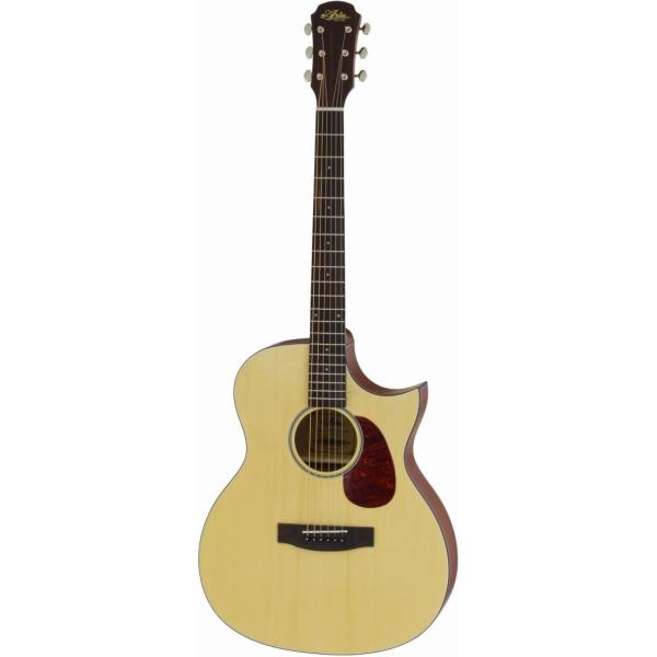 ARIA Aria-101CE/MTN (Natural) }bgh GAR / \tgP[Xt