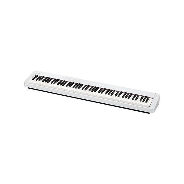 CASIO PX-S1100WE zCg X{fB fW^sAm/s