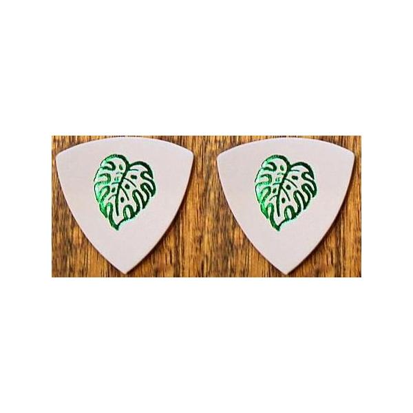 Famous {烌U[sbN/Xe/tϕ×2/[֔Es