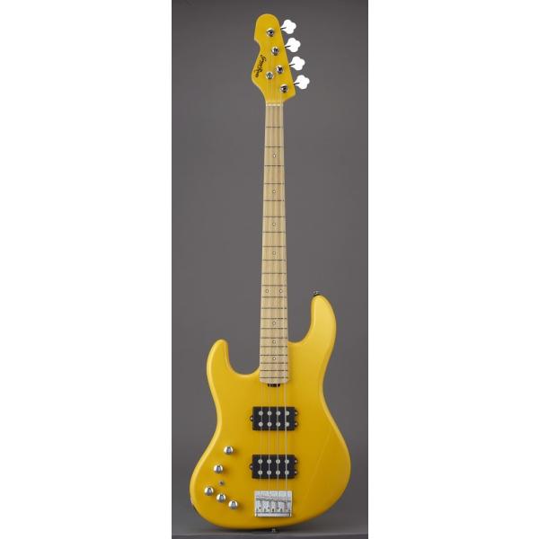 GrassRoots G- LH tgnh Yellow WANIMA KENTA x[X OX[c by ESP