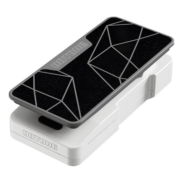 従来の外部エクスプレッションペダルは、エフェクターのパラメーターのみをコントロールするものがほとんどです。そのため、エフェクターの状態や機能を変更するにはエフェクター上のスイッチを使用する必要がありました。Ampero II Pressはフ...