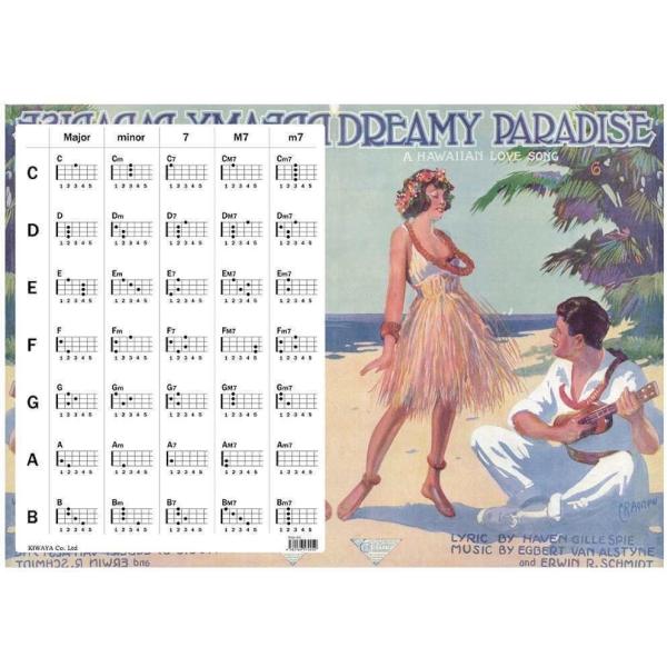 KIWAYA File-04 ENR[h\t NAt@C nCA/[֔Es