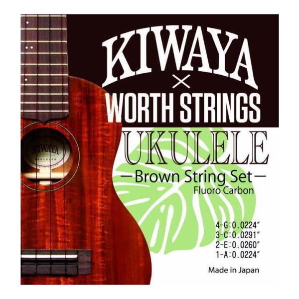 KIWAYA×WORTH STRINGS K-BM SET EN Zbg/uE \vm RT[g ei[ ENΉ/[֔Es