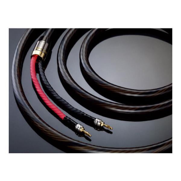 Real Cable HD-TDC600 2M / スピーカーケーブル ペア/代金引換不可